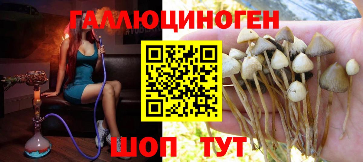 Псилоцибиновые грибы прущие грибы  Вход с VPN  Мытищи 